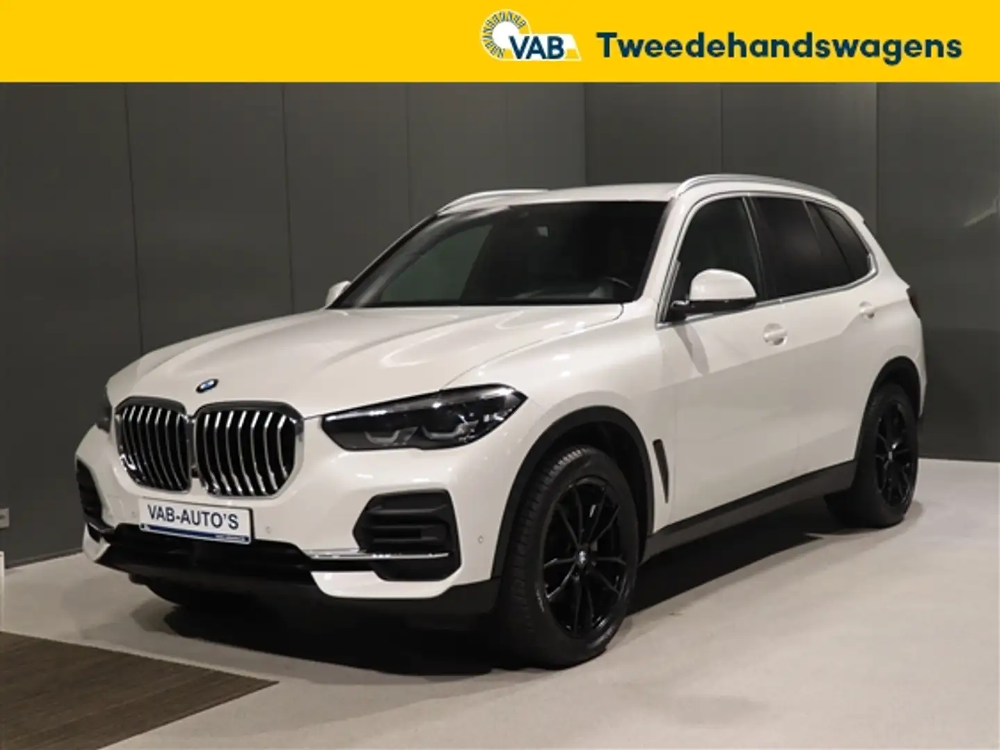 BMW X5 xdrive 25d Wit - 1