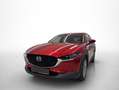 Mazda CX-30 2.0 Skyactiv-G Zenith 2WD 90kW Rojo - thumbnail 6