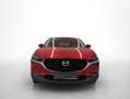 Mazda CX-30 2.0 Skyactiv-G Zenith 2WD 90kW Rojo - thumbnail 8