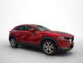 Mazda CX-30 2.0 Skyactiv-G Zenith 2WD 90kW Rojo - thumbnail 9