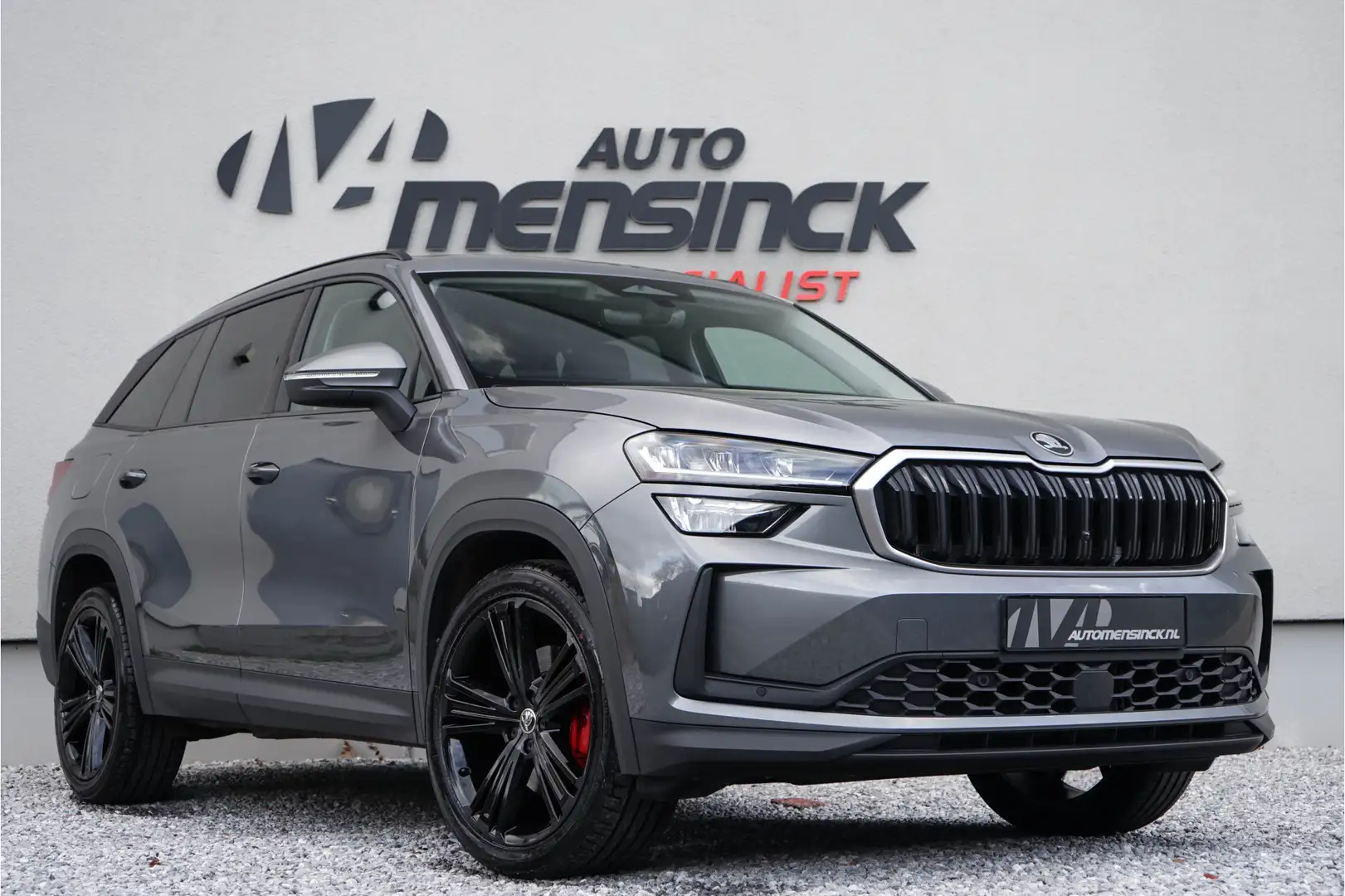 Skoda Kodiaq 1.5 TSI PHEV Tour / Virtual Cockpit/ Adaptive Crui Grau - 1
