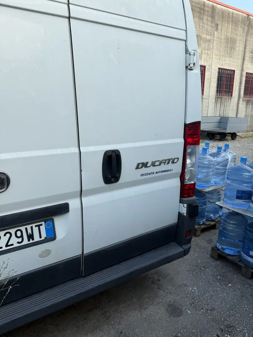 Fiat Ducato passo medio tetto alto - 2