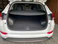 Hyundai TUCSON Tucson 2,0 CRDI 4WD Go Aut. Go Белый - thumbnail 12