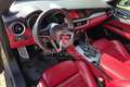 Alfa Romeo Stelvio Stelvio 2.2 Turbodiesel 190 CV AT8 Q4 Executive Argento - thumbnail 9