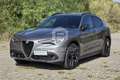 Alfa Romeo Stelvio Stelvio 2.2 Turbodiesel 190 CV AT8 Q4 Executive Argento - thumbnail 1