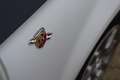 Fiat 500C Abarth 1.4-16V Elaborazione uitlaat/Leder/Clima Grau - thumbnail 29