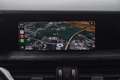 Alfa Romeo Stelvio Stelvio 2.2 Turbodiesel 190cv AT8 Q4 Executive Blu/Azzurro - thumbnail 12