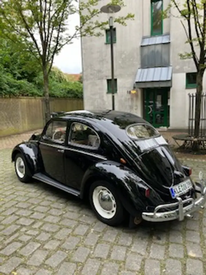 Volkswagen Käfer Ovali, foto 2