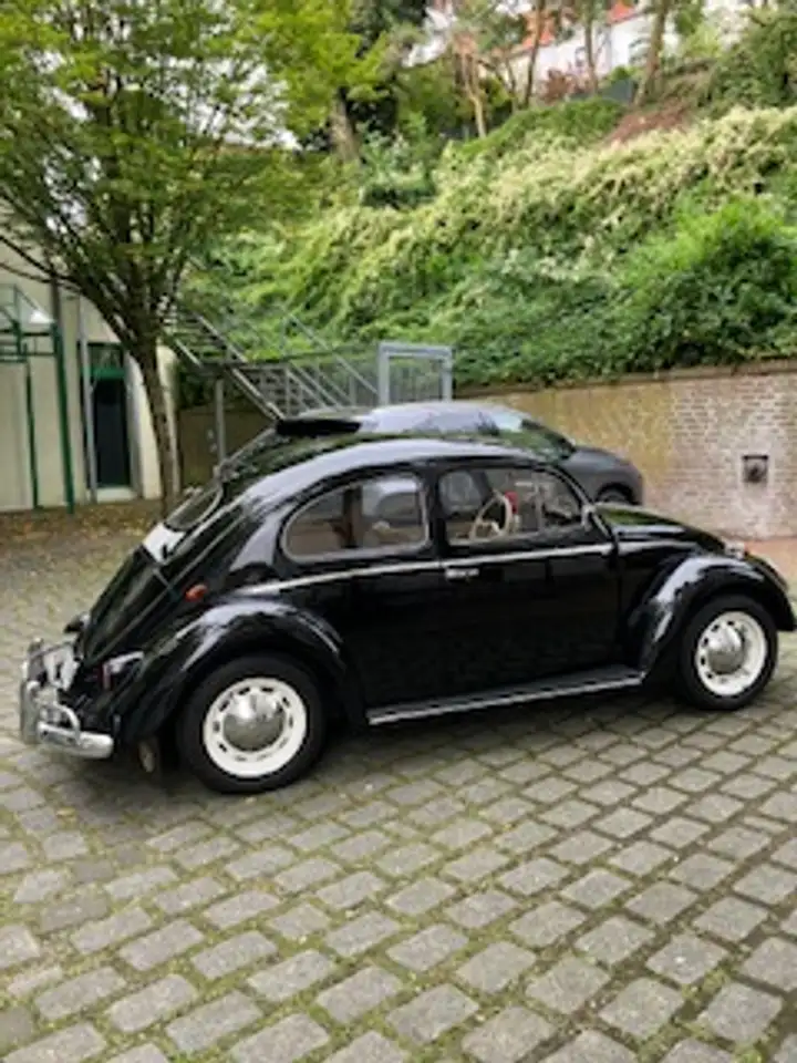 Volkswagen Käfer Ovali, foto 1