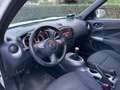 Nissan Juke Juke I 2010 1.5 dci Acenta Blanc - thumbnail 9