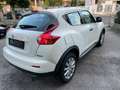 Nissan Juke Juke I 2010 1.5 dci Acenta Blanc - thumbnail 6