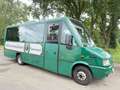 Iveco Daily*2.8 Diesel*65C12*Reisebus*XXL-Einzellstück Vert - thumbnail 15