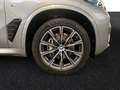 BMW X5 xDrive30d M Sport|AHK|SkyLounge|Head-Up|H/K Gris - thumbnail 5