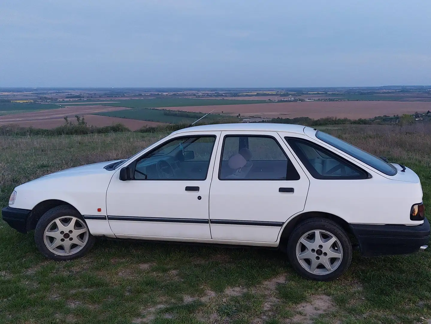 Ford Sierra Sierra CL Weiß - 2