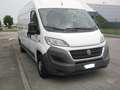 Fiat Ducato 35 2.3 MJT 130CV LH2 Frigo Motore Rotto Blanc - thumbnail 2