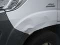 Fiat Ducato 35 2.3 MJT 130CV LH2 Frigo Motore Rotto Blanc - thumbnail 13