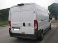 Fiat Ducato 35 2.3 MJT 130CV LH2 Frigo Motore Rotto Blanc - thumbnail 3