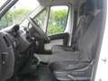 Fiat Ducato 35 2.3 MJT 130CV LH2 Frigo Motore Rotto Blanc - thumbnail 6