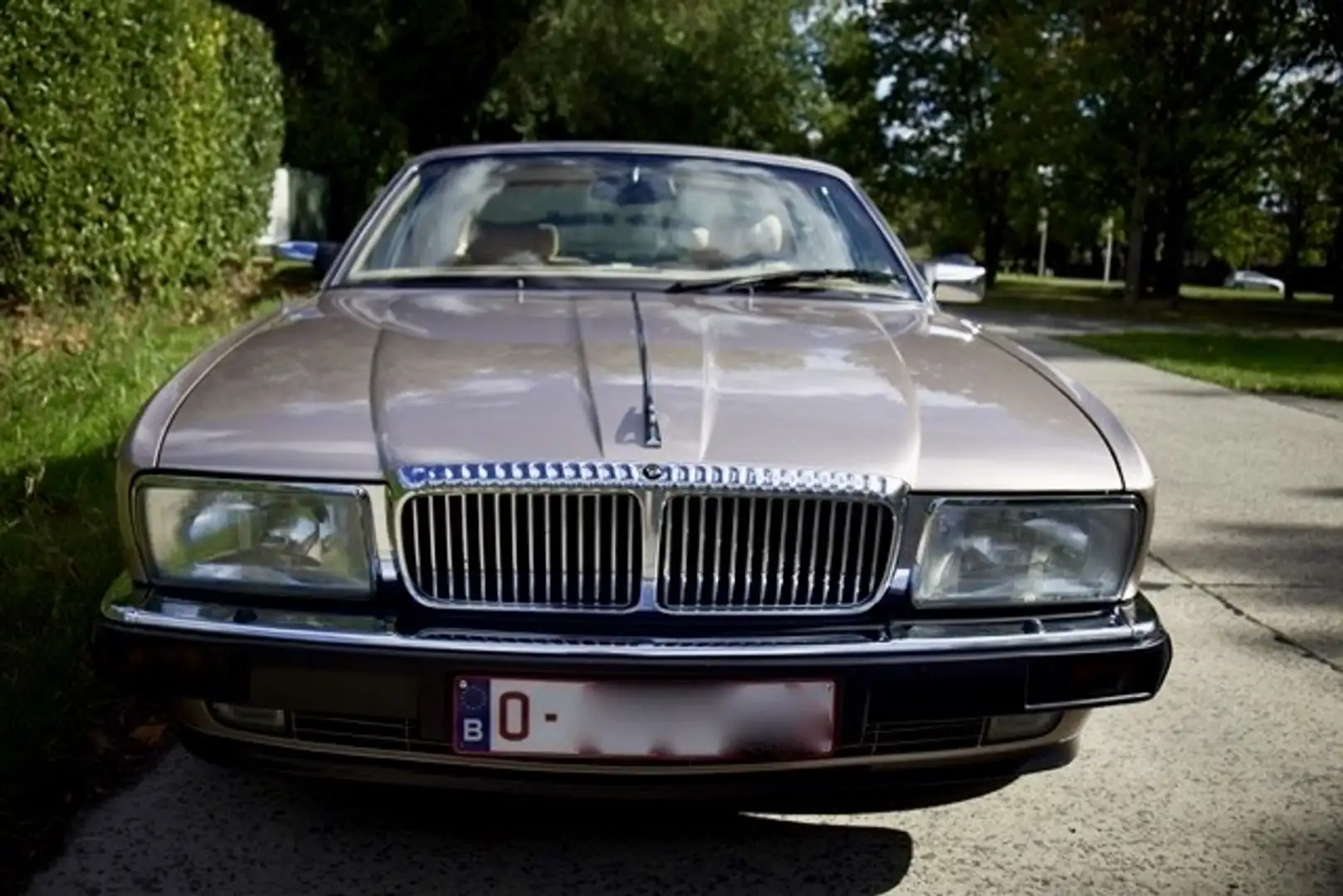 Daimler Double Six Bronz - 1