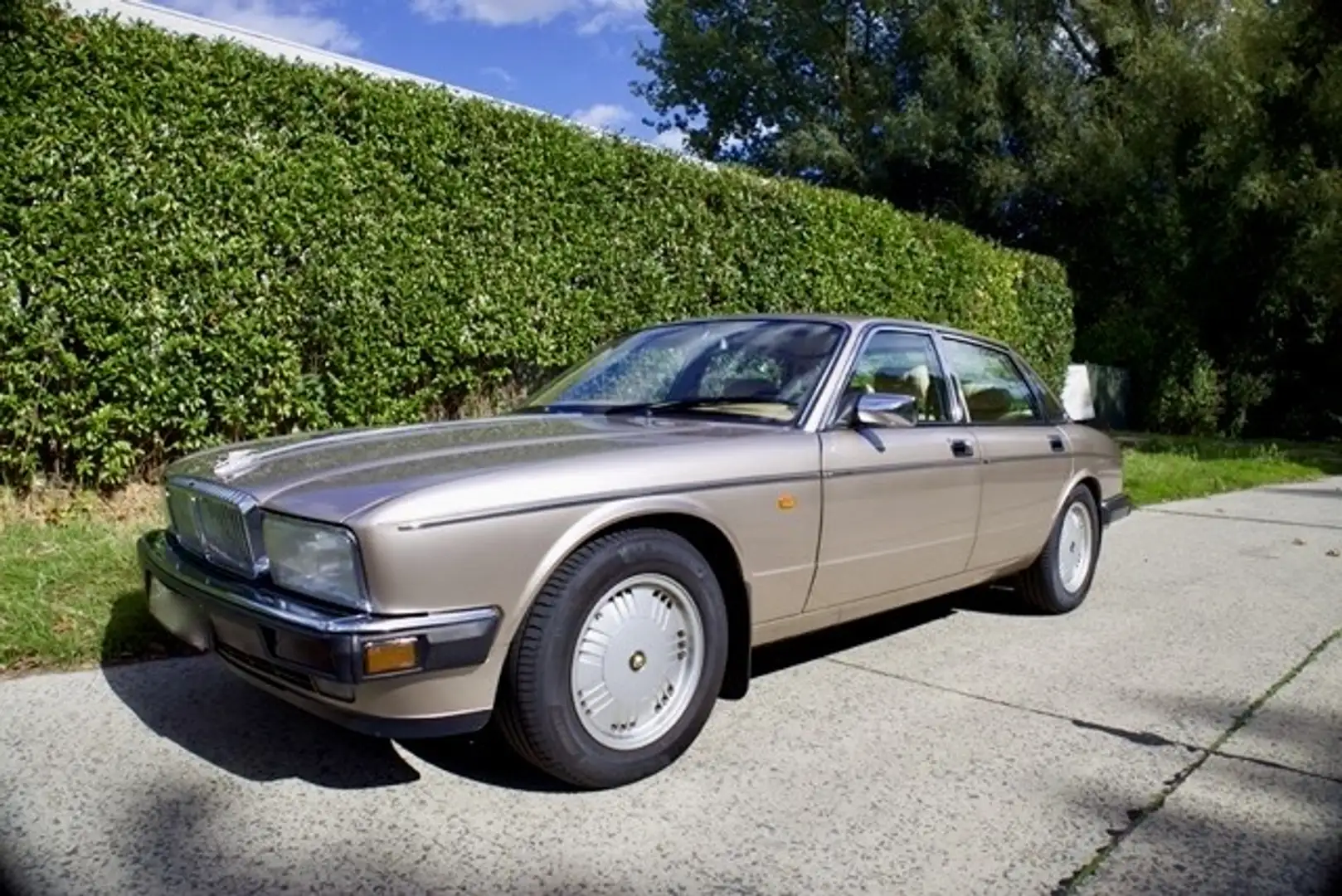 Daimler Double Six Bronz - 2