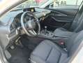 Mazda CX-30 CX-30 2.5 m-hybrid Homura 2wd 140cv 6mt 2027 Weiß - thumbnail 14
