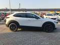 Mazda CX-30 CX-30 2.5 m-hybrid Homura 2wd 140cv 6mt 2027 Weiß - thumbnail 9