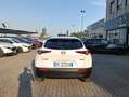 Mazda CX-30 CX-30 2.5 m-hybrid Homura 2wd 140cv 6mt 2027 Weiß - thumbnail 6
