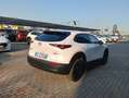 Mazda CX-30 CX-30 2.5 m-hybrid Homura 2wd 140cv 6mt 2027 Weiß - thumbnail 8
