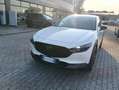 Mazda CX-30 CX-30 2.5 m-hybrid Homura 2wd 140cv 6mt 2027 Weiß - thumbnail 2