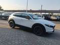 Mazda CX-30 CX-30 2.5 m-hybrid Homura 2wd 140cv 6mt 2027 Weiß - thumbnail 10