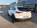 Mazda CX-30 CX-30 2.5 m-hybrid Homura 2wd 140cv 6mt 2027 Weiß - thumbnail 4