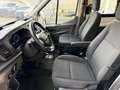 Ford Transit Kasten DoKa 2,0 EcoBlue L3H3 350 Trend Weiß - thumbnail 19