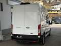 Ford Transit Kasten DoKa 2,0 EcoBlue L3H3 350 Trend Weiß - thumbnail 17