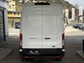 Ford Transit Transit Kasten DoKa 2,0 EcoBlue L3H3 350 Trend Weiß - thumbnail 16