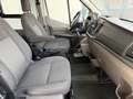 Ford Transit Kasten DoKa 2,0 EcoBlue L3H3 350 Trend Weiß - thumbnail 24