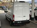 Ford Transit Kasten DoKa 2,0 EcoBlue L3H3 350 Trend Weiß - thumbnail 14