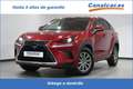 Lexus NX 300 300h Business 2WD Rouge - thumbnail 1