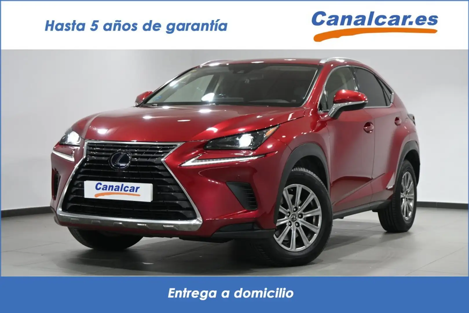 Lexus NX 300 300h Business 2WD Rouge - 1