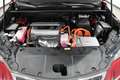 Lexus NX 300 300h Business 2WD Rouge - thumbnail 7