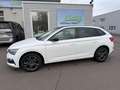 Skoda Scala Drive 125+StHz+LED+AppC+Pano+Navi+Shz Weiß - thumbnail 1