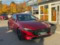 Mazda 3 G186 Selection AWD AHK Standhzg ACC HUD BOSE Rouge - thumbnail 9