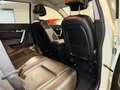 Chevrolet Captiva Captiva 2.2 LTZ 184cv*AUTOMATICA*7 POSTI*PELLE* Bianco - thumbnail 14