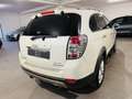 Chevrolet Captiva Captiva 2.2 LTZ 184cv*AUTOMATICA*7 POSTI*PELLE* Bianco - thumbnail 7