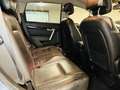 Chevrolet Captiva Captiva 2.2 LTZ 184cv*AUTOMATICA*7 POSTI*PELLE* Blanc - thumbnail 11