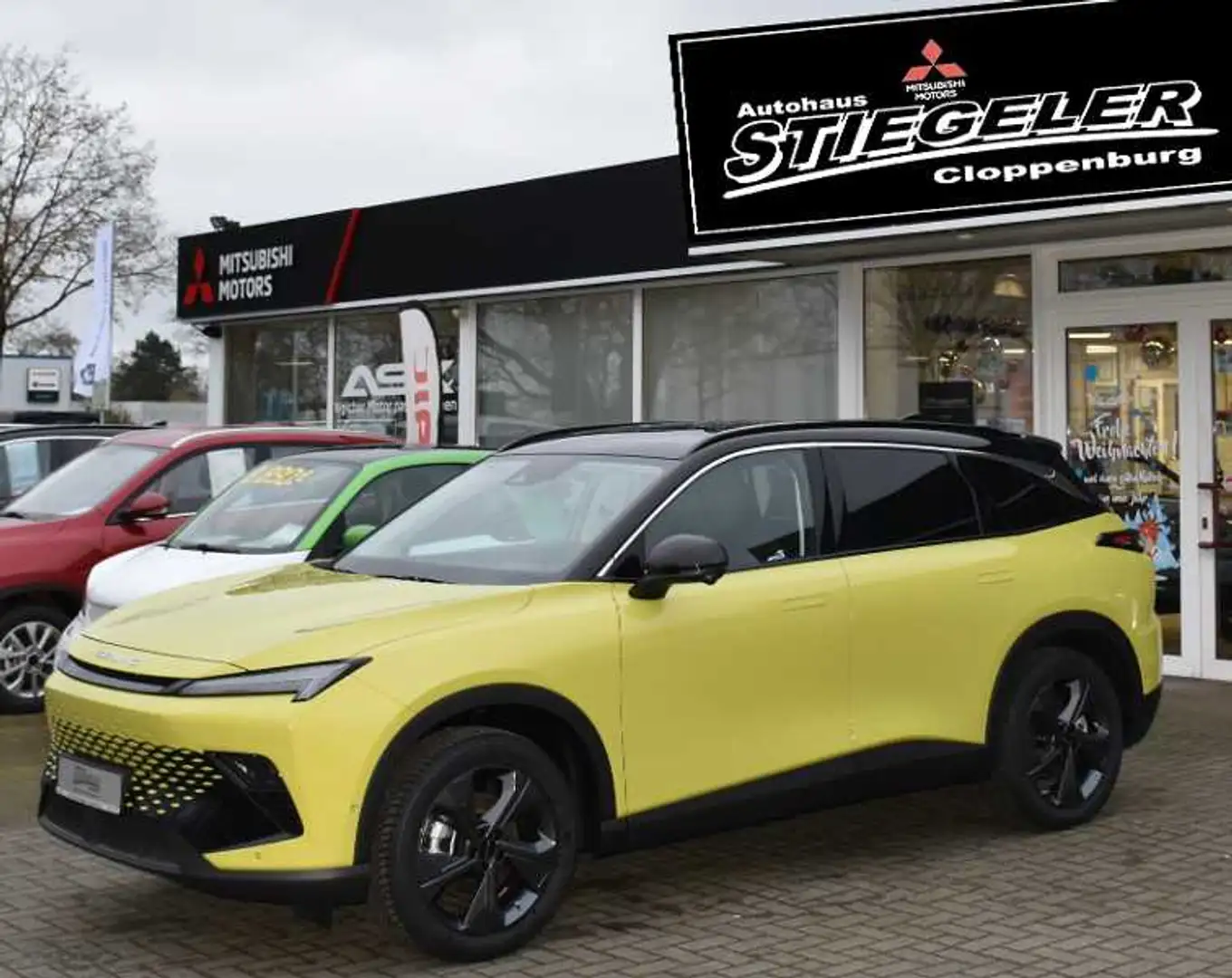 BAIC Senova X55 X 55 Sportsitze Panorama / Schiebedach Green - 1