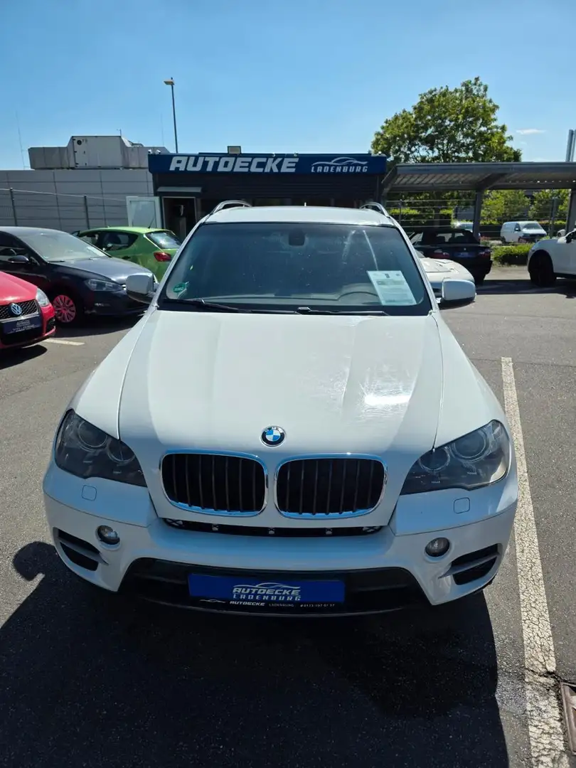 BMW X5 Baureihe X5 xDrive40d Bianco - 2