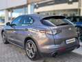 Alfa Romeo Stelvio 2.2 Turbodiesel 210 CV AT8 Q4 Sprint PREZZO PROMO Grijs - thumbnail 5