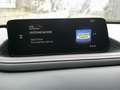 Mazda CX-30 SKYACTIV 140 AT Homura NAVI/HUD/KAMERA Rood - thumbnail 14