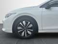 Volkswagen Golf Variant VIII Variant 2.0TDI Matrix/Navi/ACC/AHK/360° Weiß - thumbnail 23