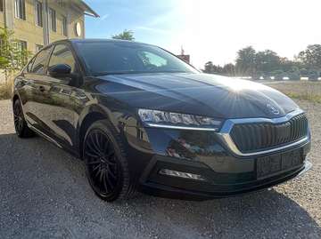 Octavia 2,0 TDI Ambition Ambition